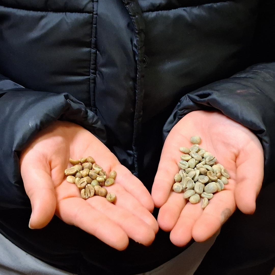 Visita d'estudiants mallorquins a Bracafé.